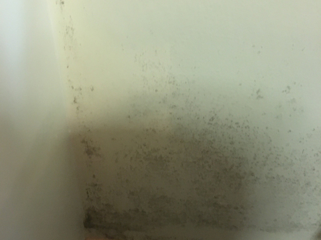 Edgecliff Lodge Motel主图