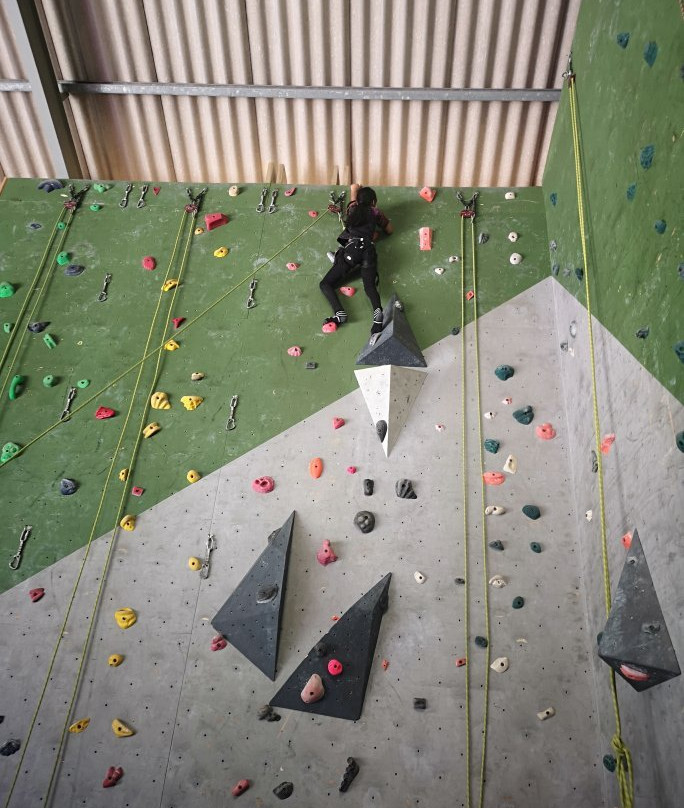 Valley Crag indoor climbing centre-伊丽莎白港必去景点