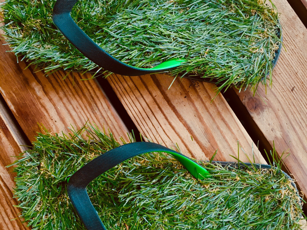 Cortes Island Motel主图