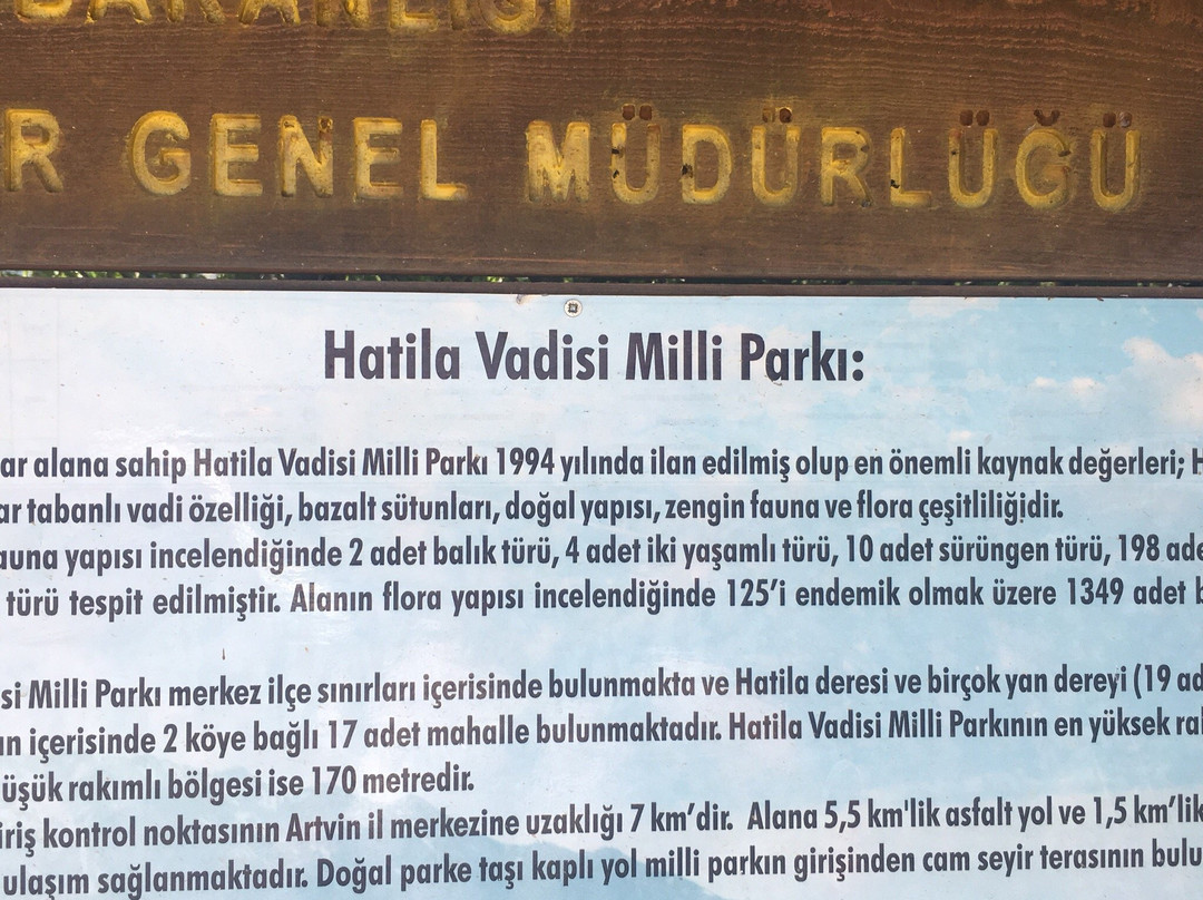 Hatila Vadisi Milli Parki-Artvin必去景点