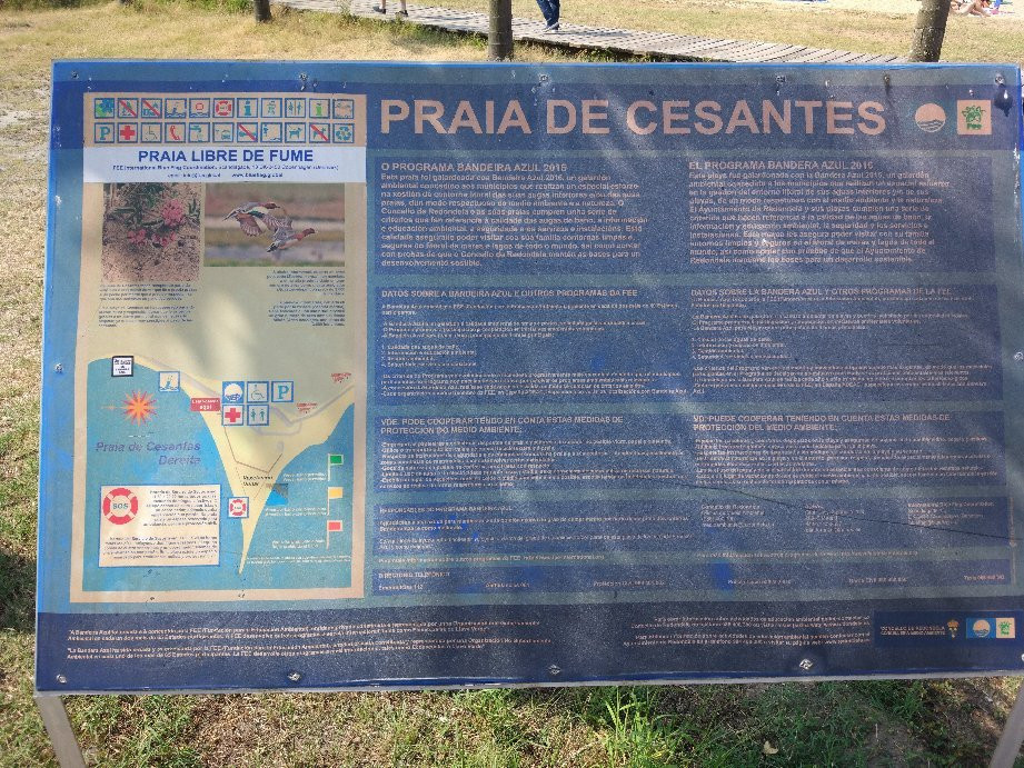 Playa de Cesantes景点图片