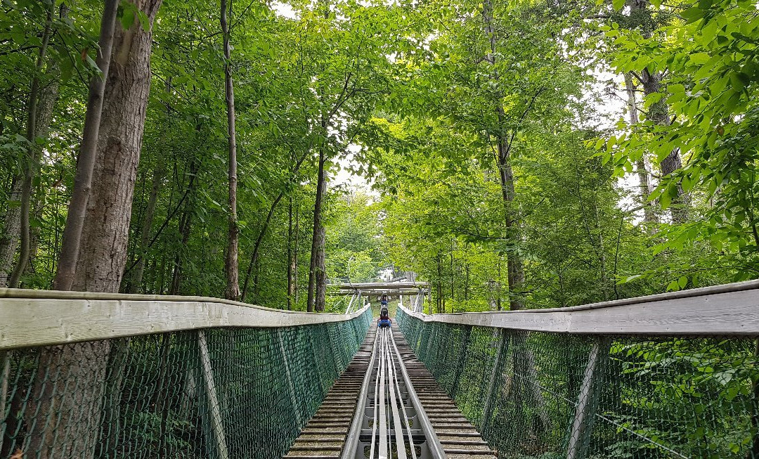 Ridge Runner Mountain Coaster景点图片