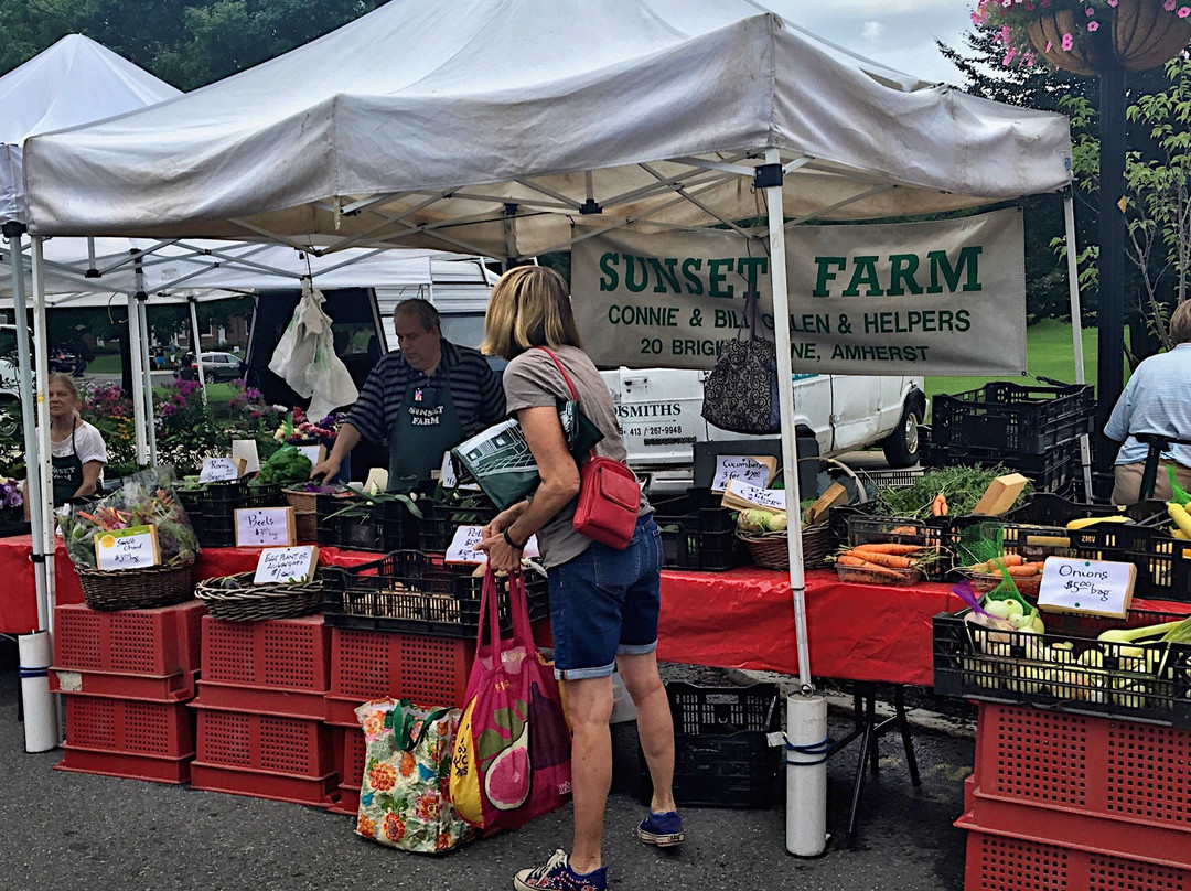 Amherst Farmers' Market - Late April to Mid-November-艾姆赫斯特必去景点
