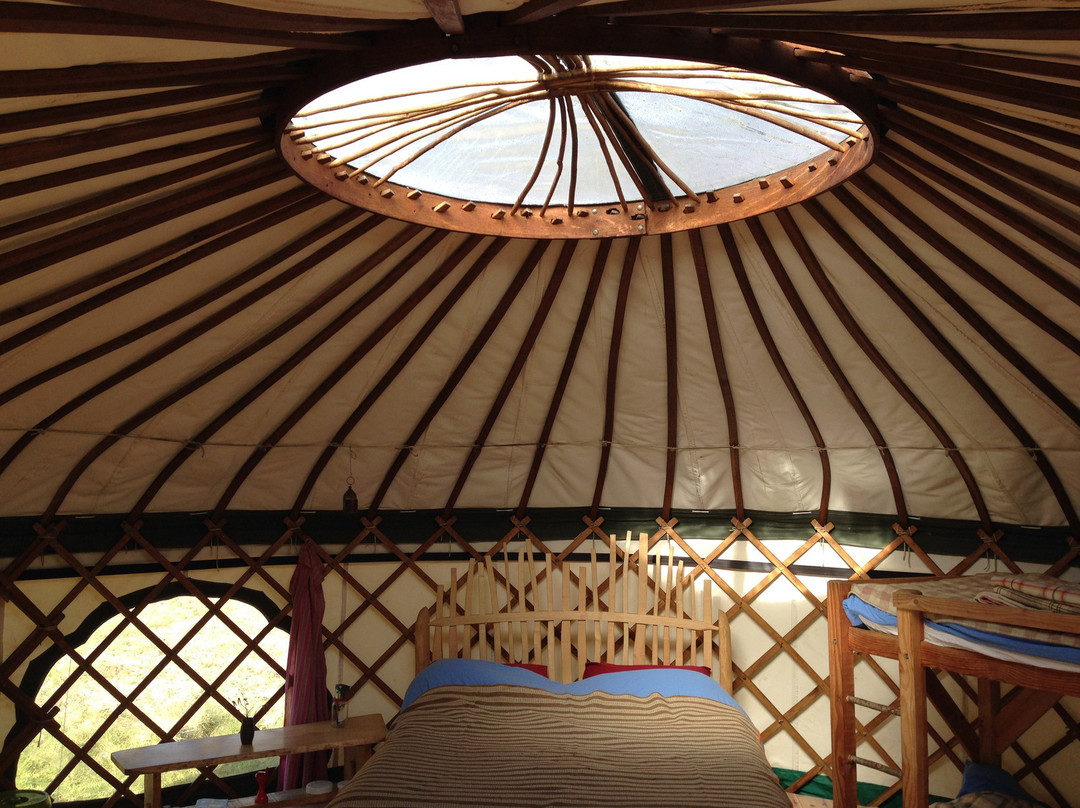The Yurt Farm