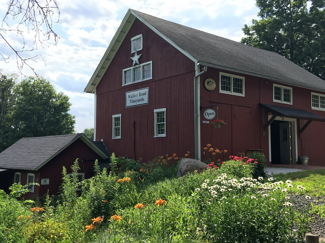 Walker Road Vineyards-Woodbury必去景点