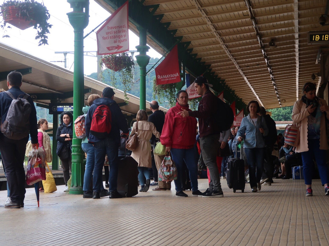 Sinaia Railway Station-锡纳亚必去景点