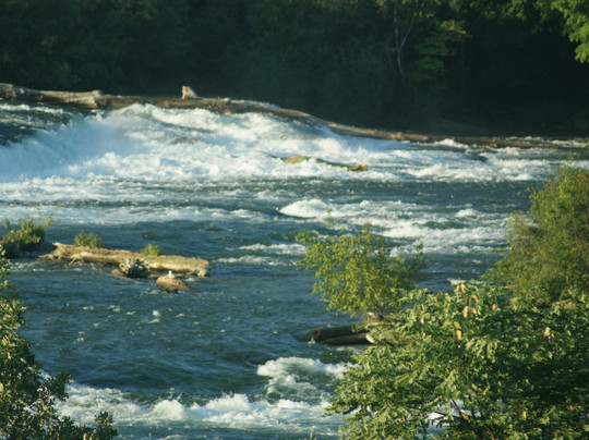 波音特康福特茵酒店主图
