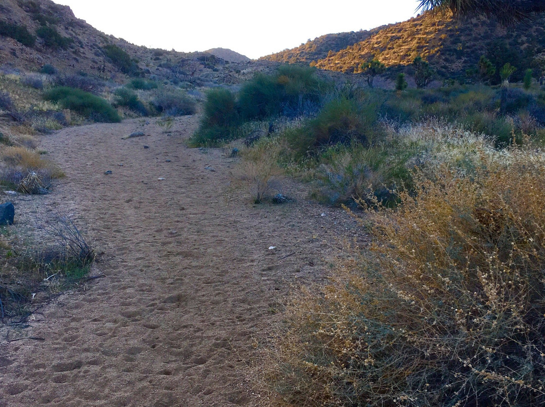 California Riding and Hiking Trail-二十九棕榈村必去景点