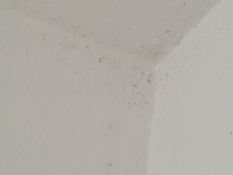 Hohenkirchen旅游攻略图片