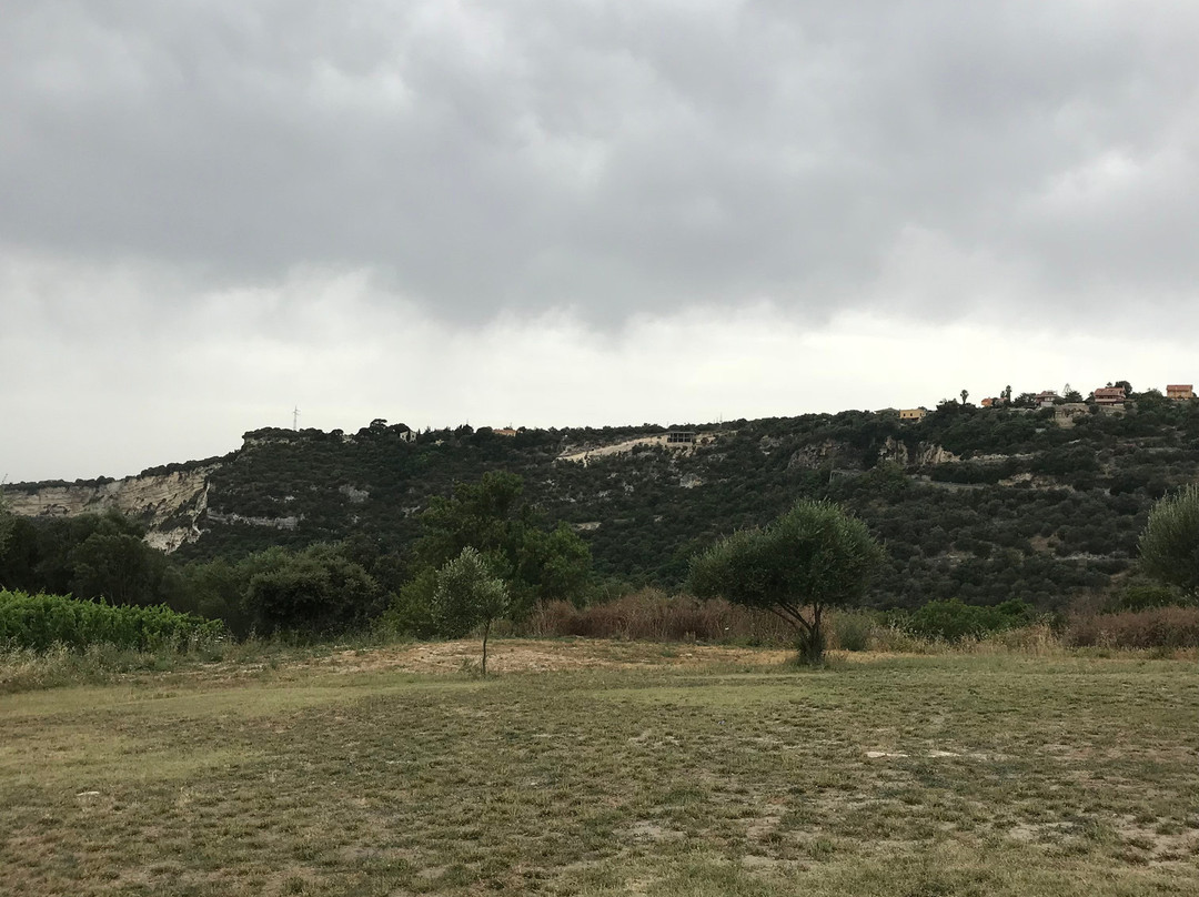 Agriturismo Monte Fenosu主图