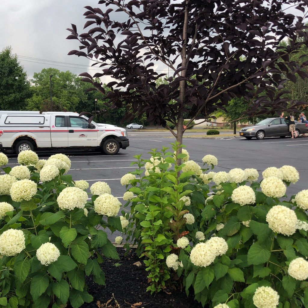 Americas Best Value Inn Albany East Greenbush-浴室