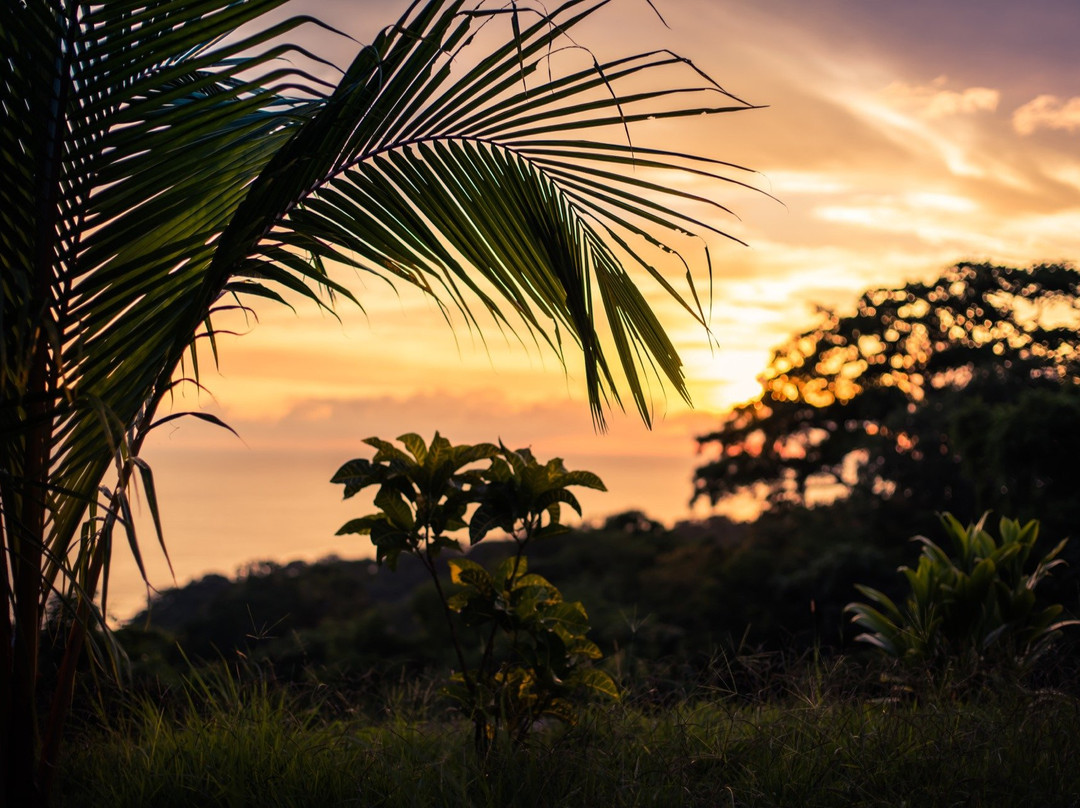 PortugalSurfCamp主图