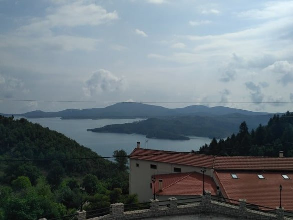 Gis Chrisopeleia主图