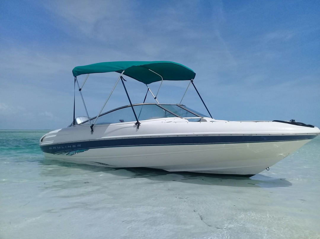 Indigenous Tours and Rentals-Kew必去景点