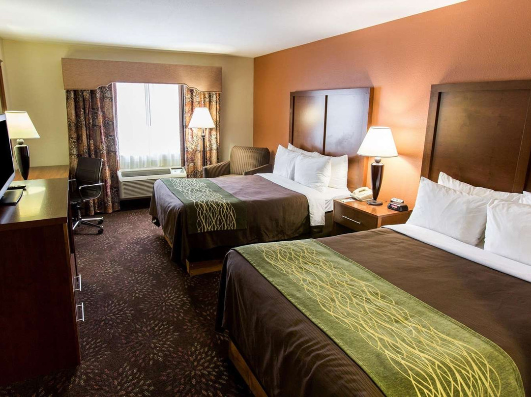 Comfort Inn Okemos - East Lansing主图