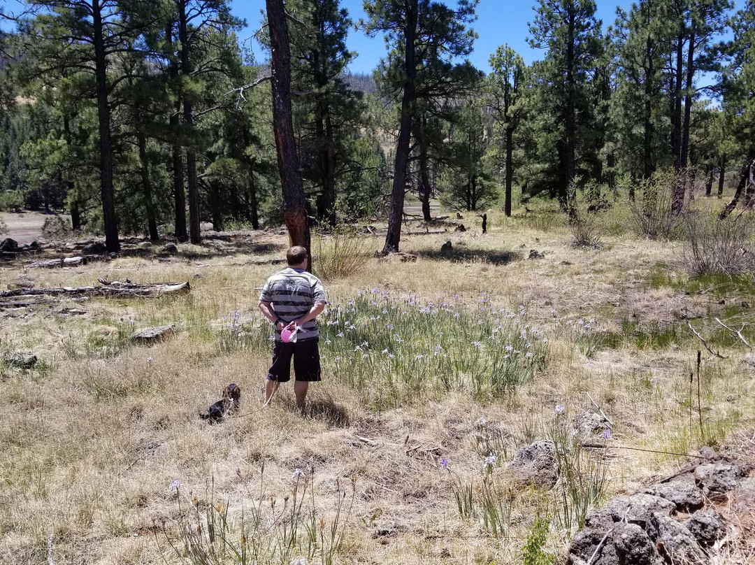 Tunnel Reservoir-Greer必去景点