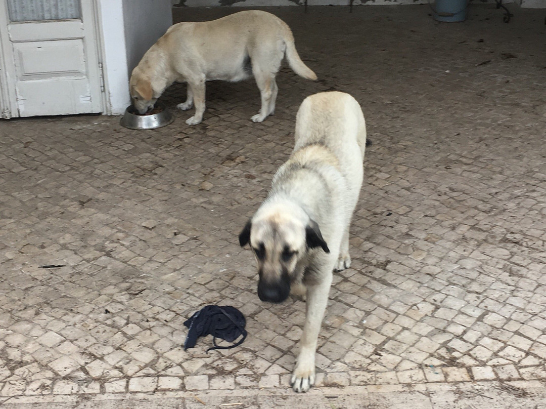 Casa da Tia Guida主图