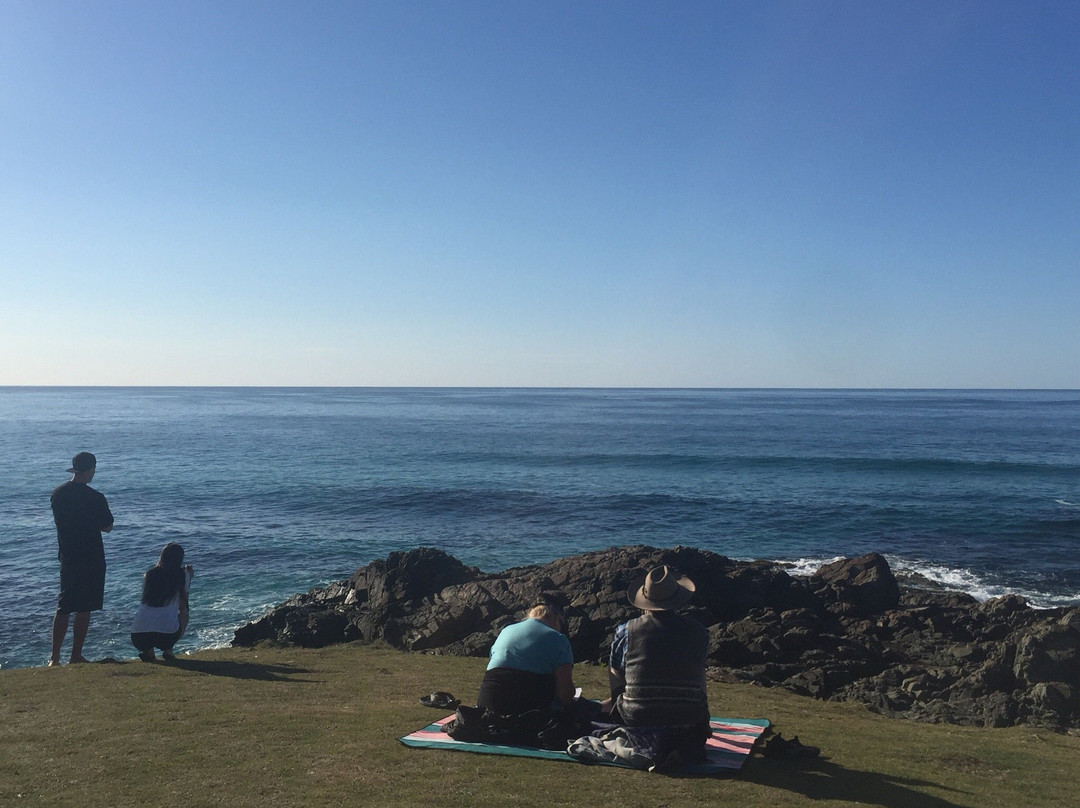 Hastings Point Headland景点图片