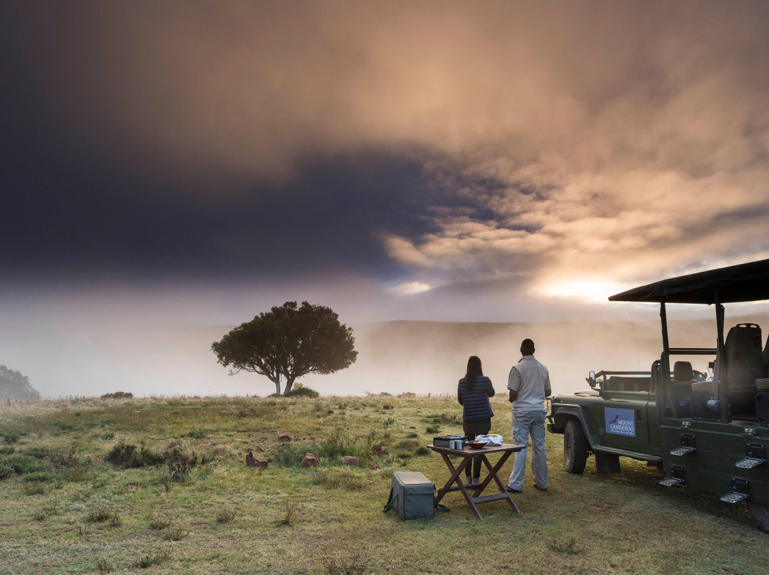 Mount Camdeboo Private Game Reserve主图