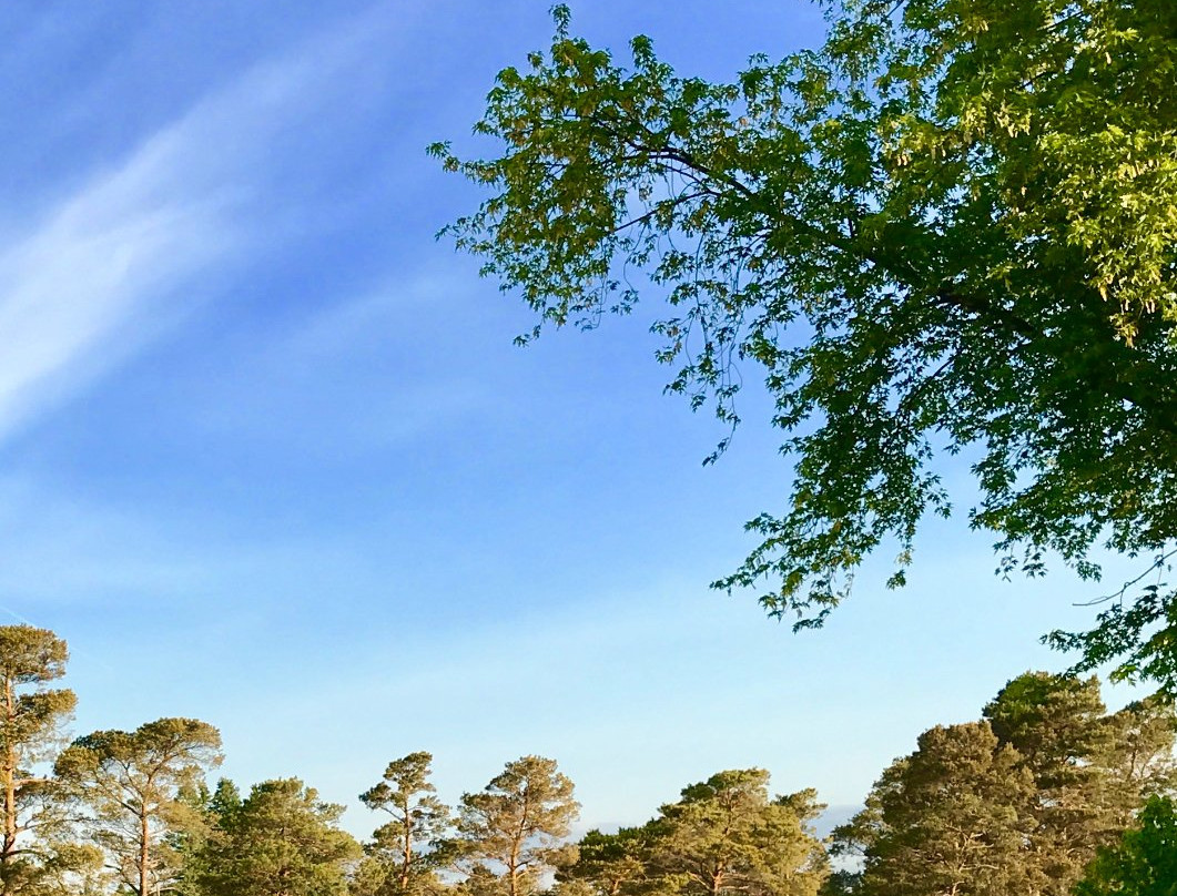 Sauble Golf & Country Club景点图片