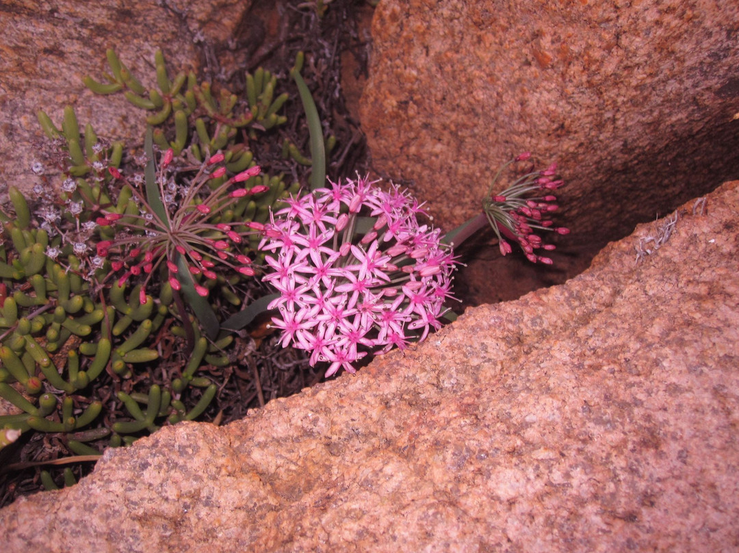 Naries Namakwa Retreat主图