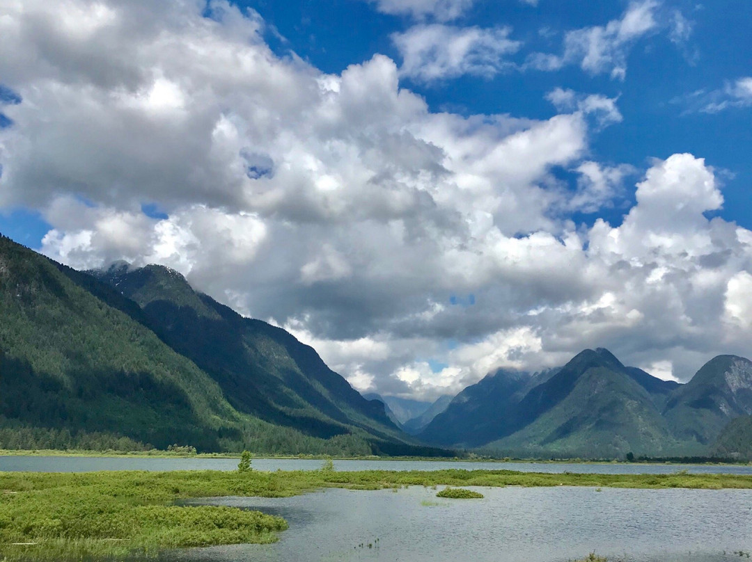 Pitt Polder Ecological Reserve景点图片