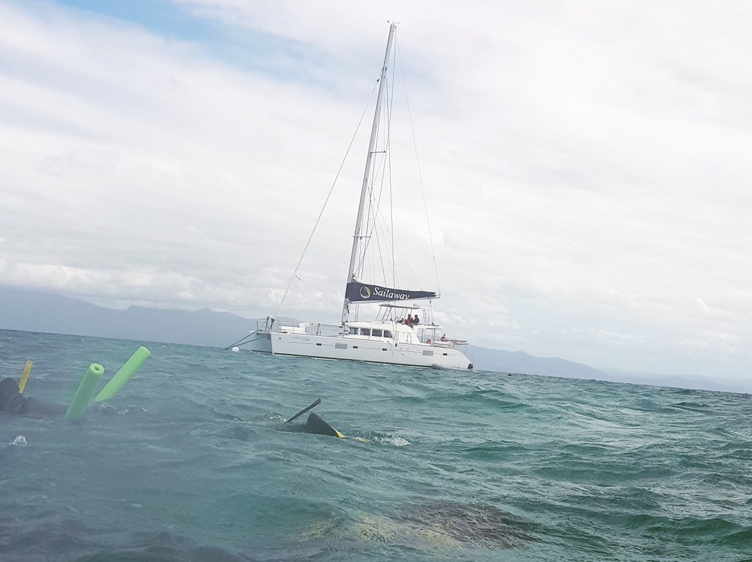 Sailaway Cape Tribulation-Cape Tribulation必去景点