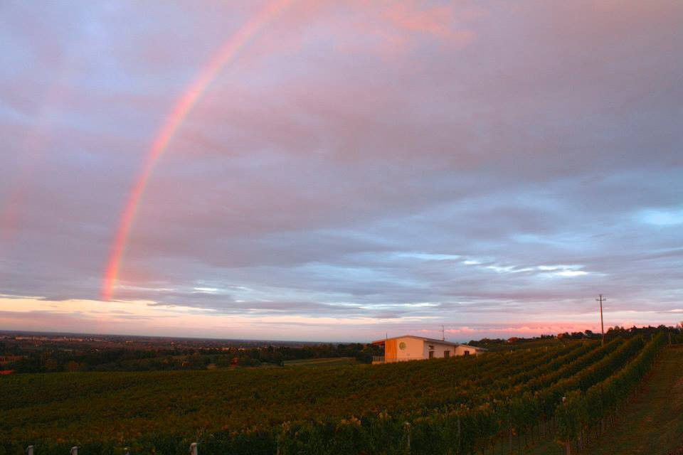 Fratta Minore Azienda Viti Vinicola景点图片