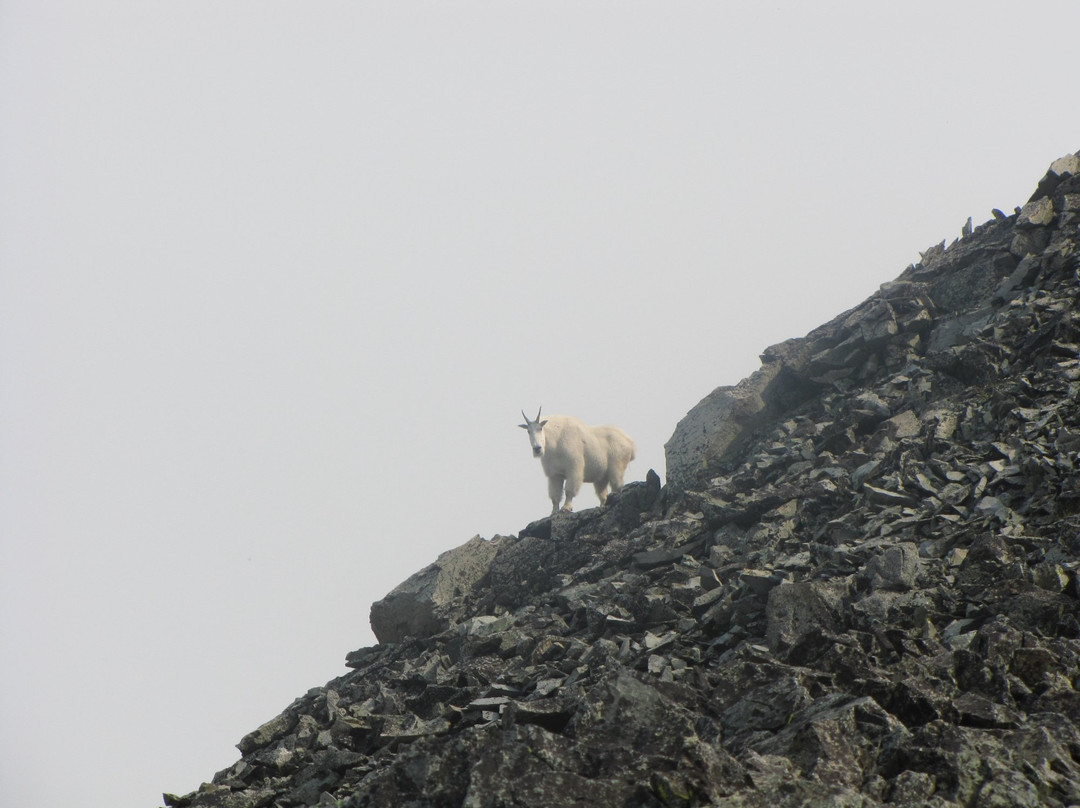 Sweet Grass (Dude) Ranch主图