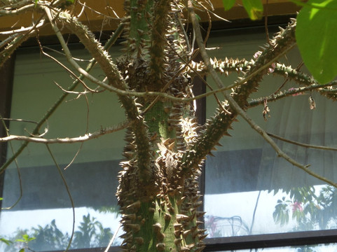 三亚鹿岭海湾维景国际大酒店主图