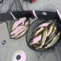 Michaud Guide Service-Walker必去景点