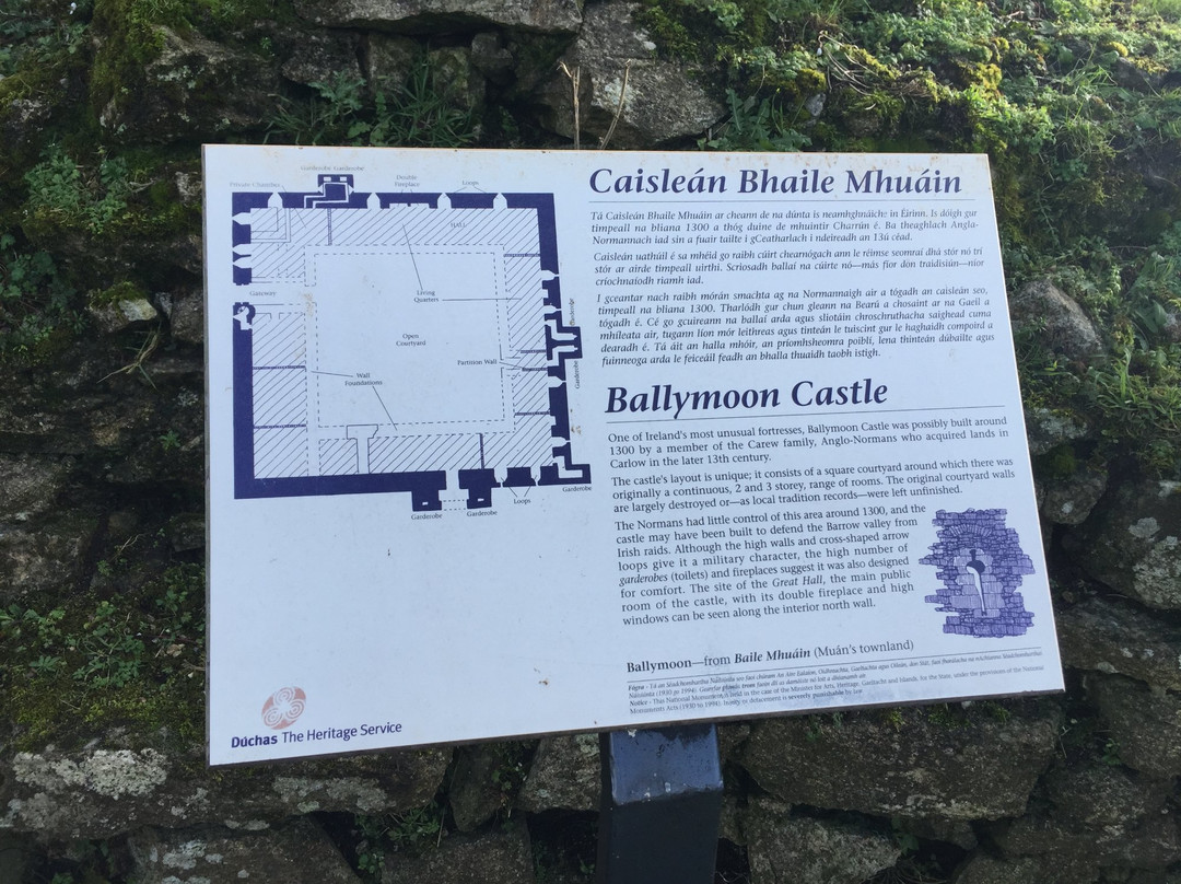 Ballymoon Castle景点图片