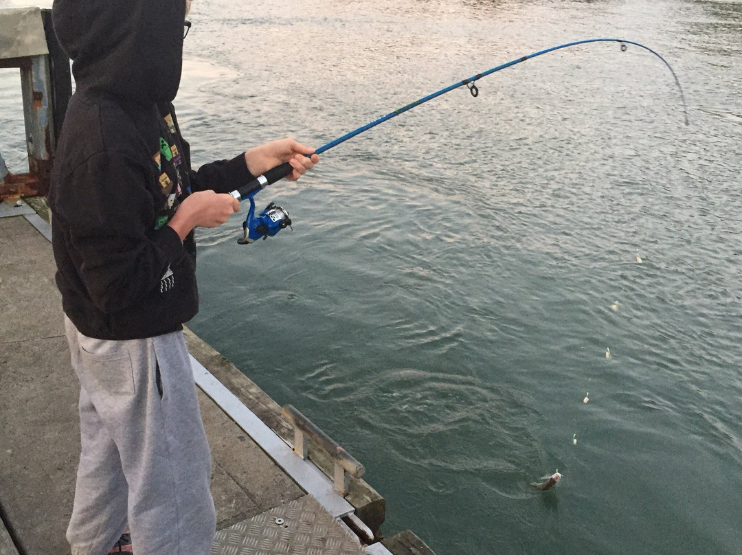 Aotearoa Lodge主图