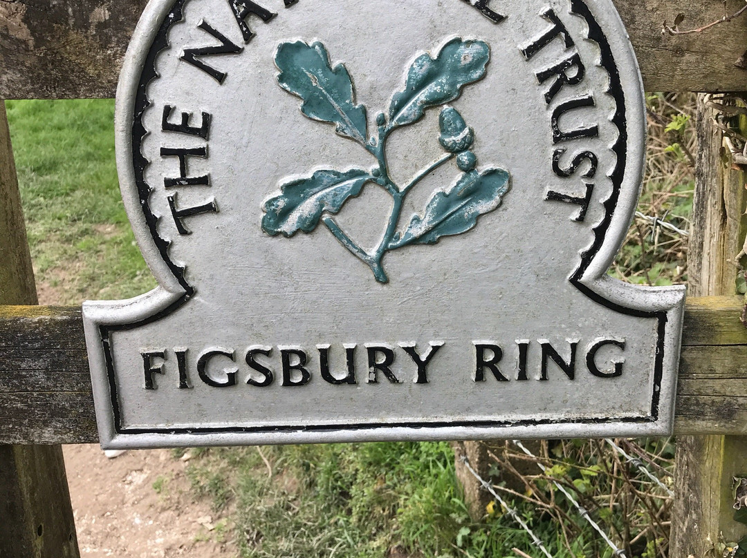 Figsbury Ring景点图片