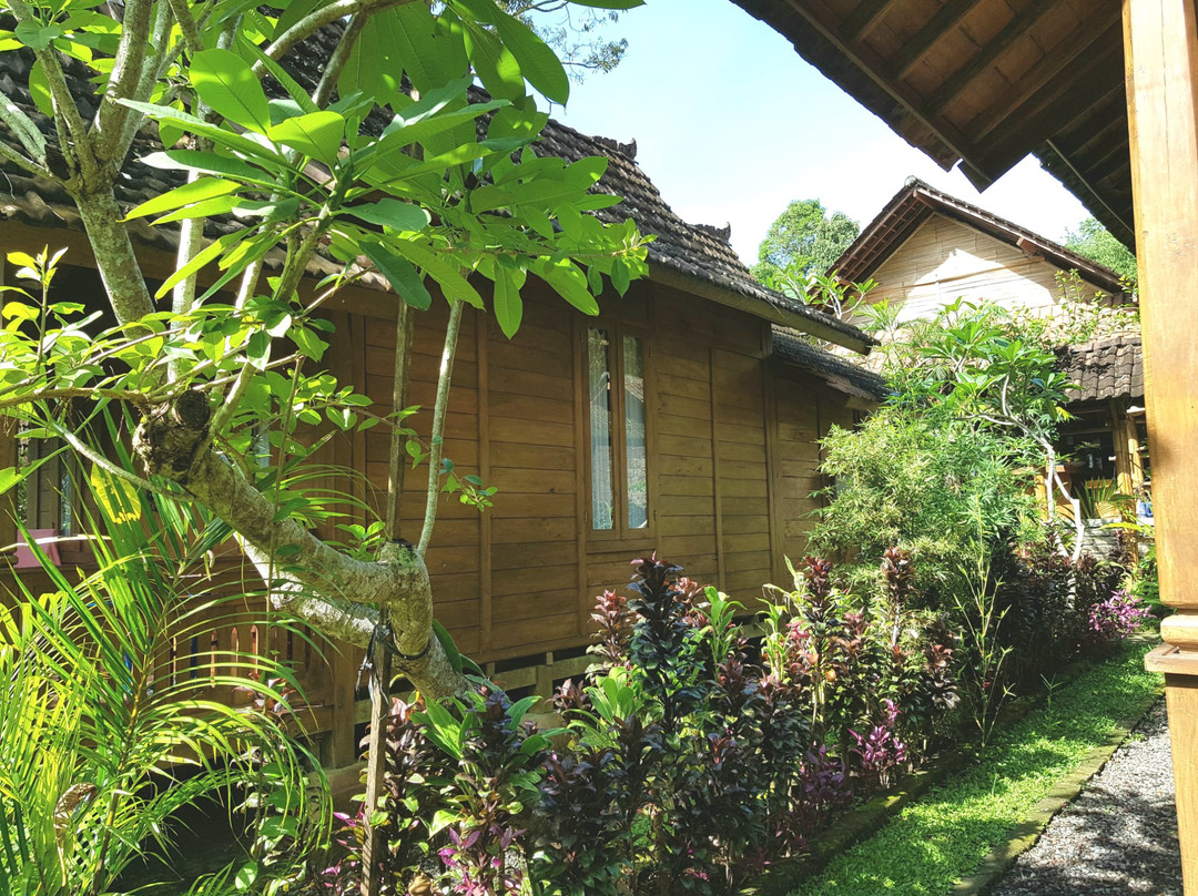 Song Broek Jungle Resort主图