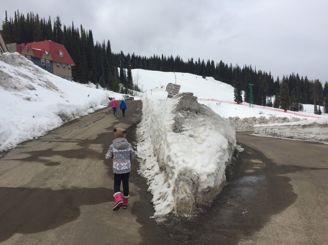 The Pinnacles Suites & Townhomes主图