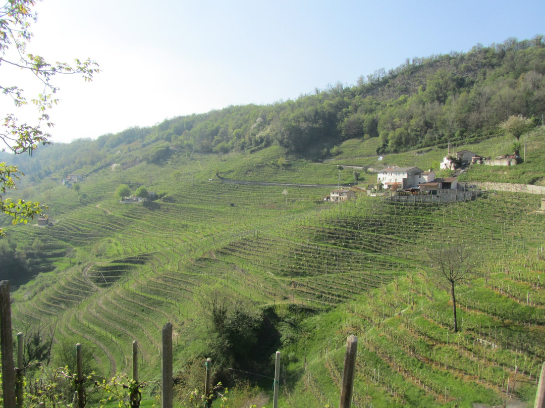 Il Borgo di Rolle景点图片