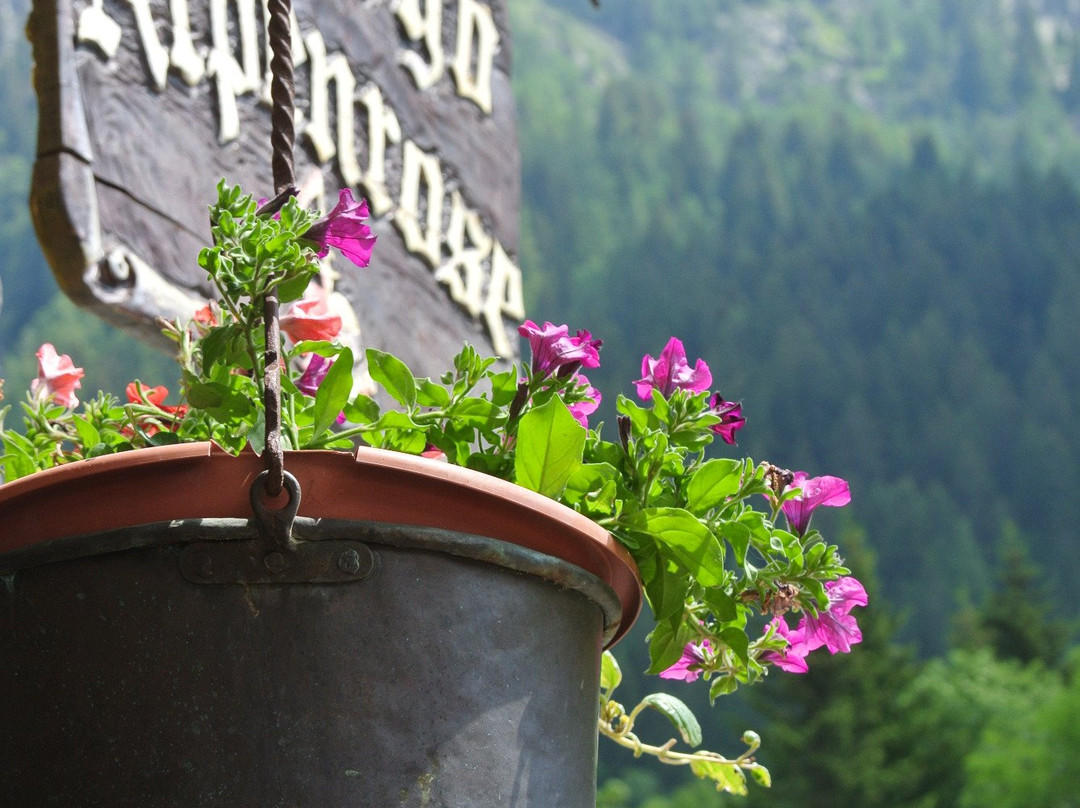 Albergo Alpenrose主图