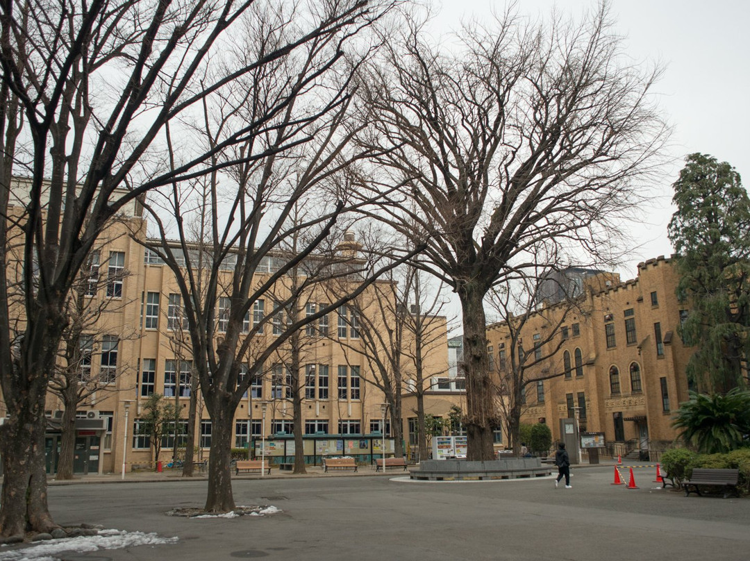 庆应义塾大学景点图片