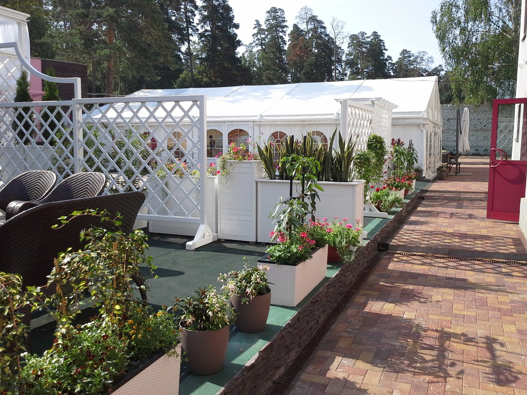 Borovnica Hotel主图