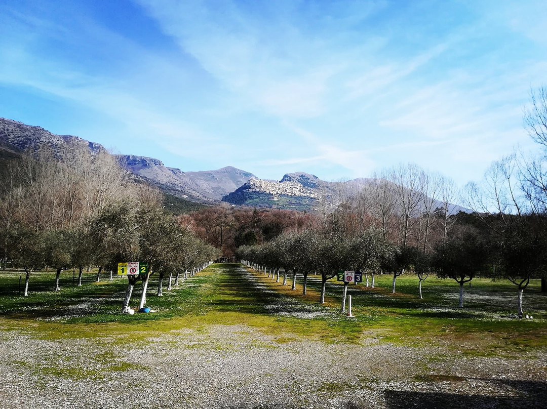 Agricampeggio Area Pic Nic Pugliese景点图片