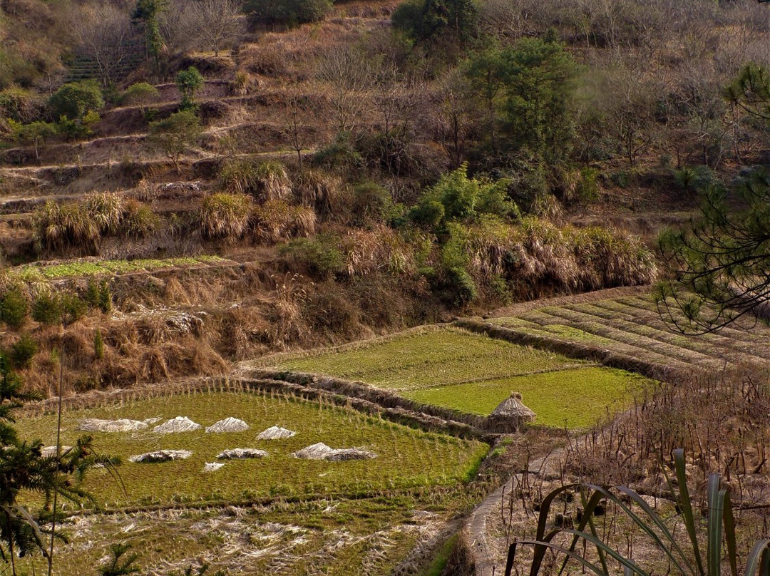 丽水莲都东西岩景点图片