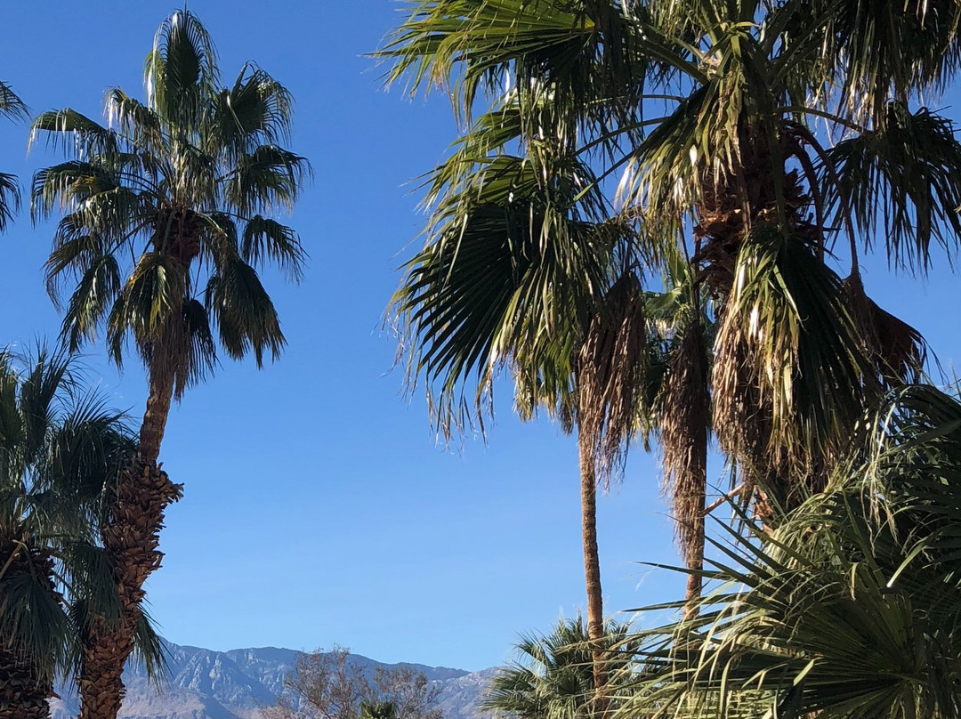 Desert Hot Springs Spa-沙漠温泉必去景点