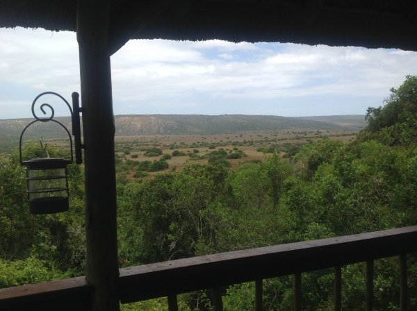 Woodbury Lodge-酒店景观