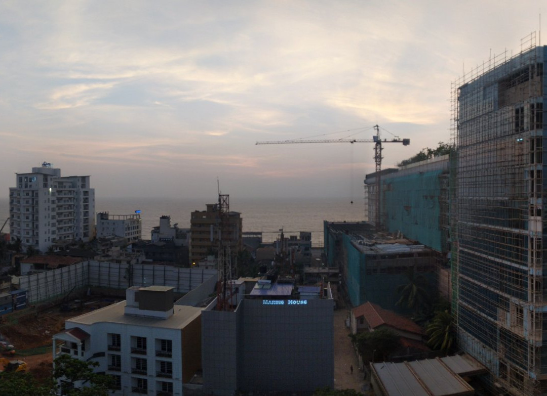 Mandarina Colombo主图