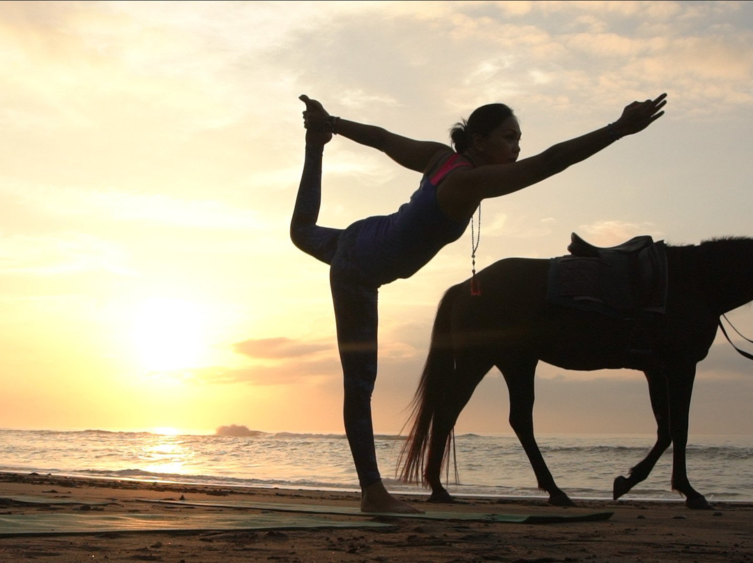 Bali Horse Riding景点图片