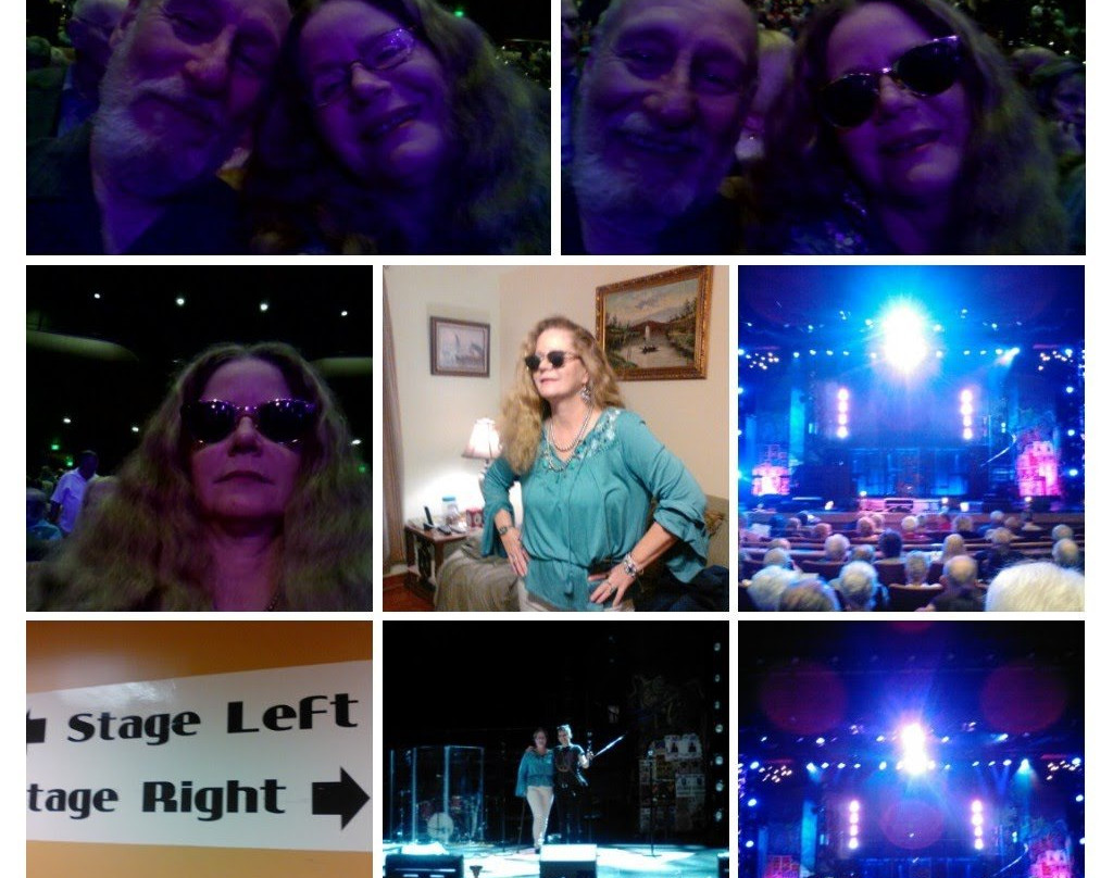 Sharon L. Morse Performing Arts Center景点图片
