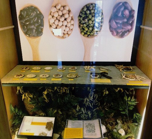 Museo Naturalistico Patrizio Rigoni景点图片