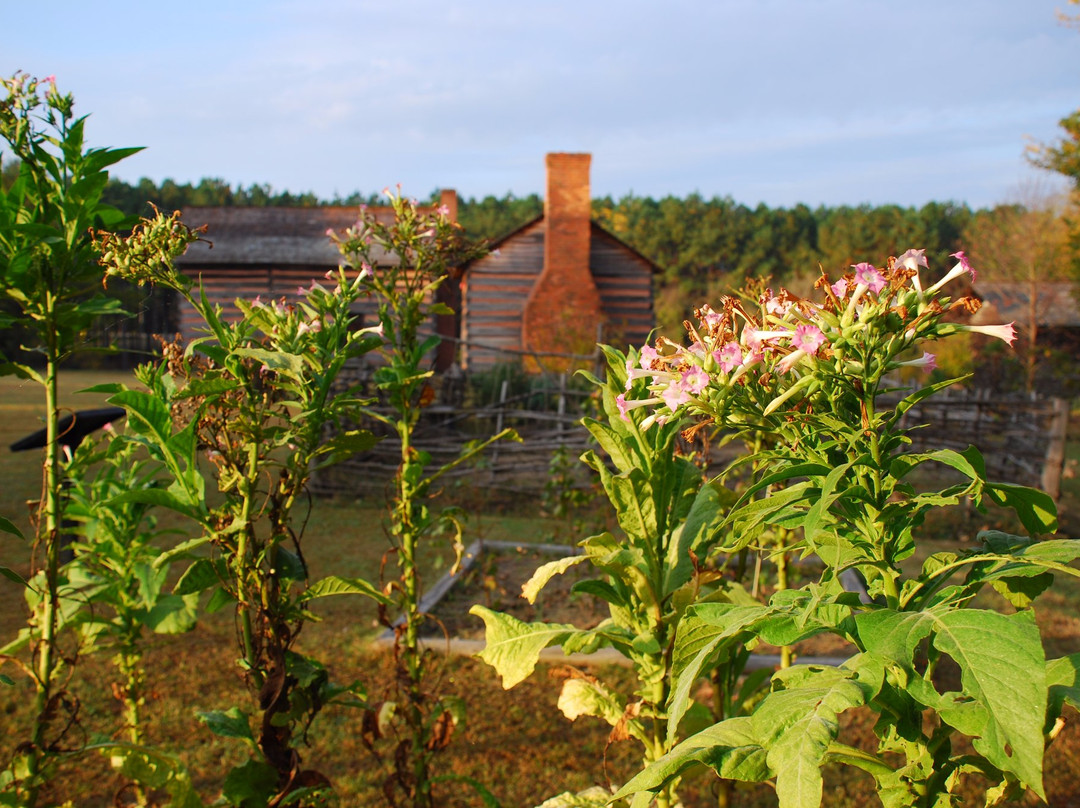 派恩维尔旅游攻略图片