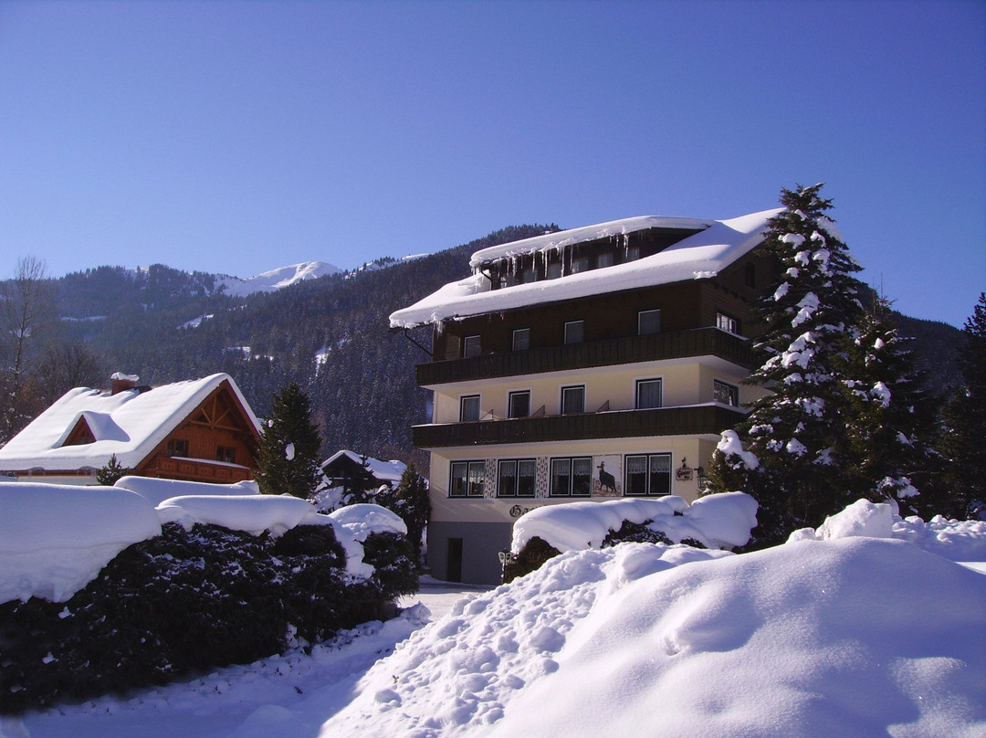 Planneralm酒店住宿-Gasthof Pension Appartements Zur Gams